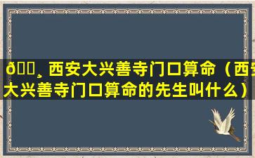 🌸 西安大兴善寺门口算命（西安大兴善寺门口算命的先生叫什么）